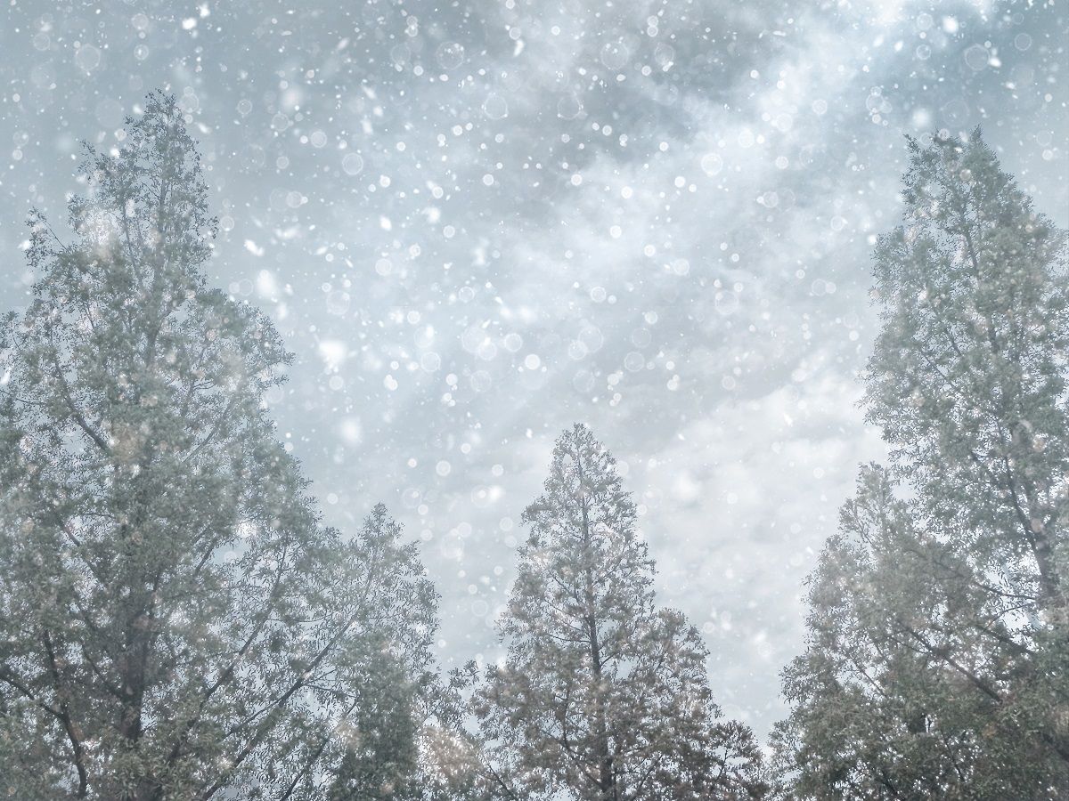 「値上げ地獄＆寒波」で生き残るための冬の暖房代「懐ホカホカ」節約術の画像