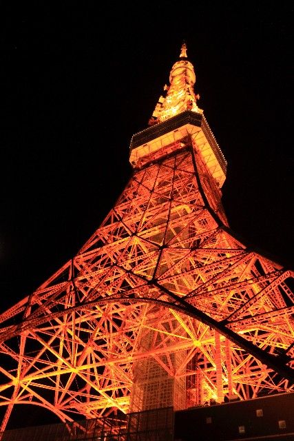 意外に安い？ 東京タワーの「ライトアップ代」の画像