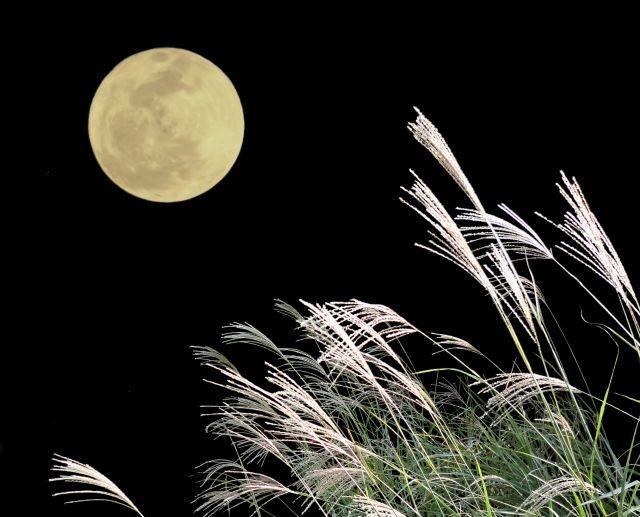 十五夜の月を、どうして「芋名月」と呼ぶの？の画像