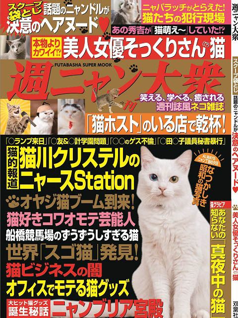 アイドル猫満載『週ニャン大衆』が大人気！の画像