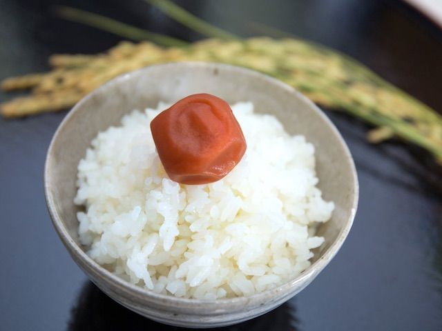 片瀬那奈「１日ごはん９回」意外な大食エピソードにTOKIO松岡昌宏も驚愕の画像