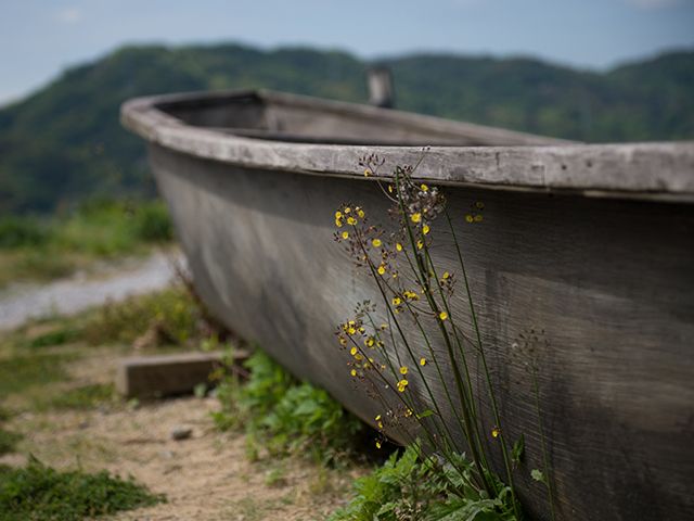 「北朝鮮木造船」漂着ラッシュの怪の画像