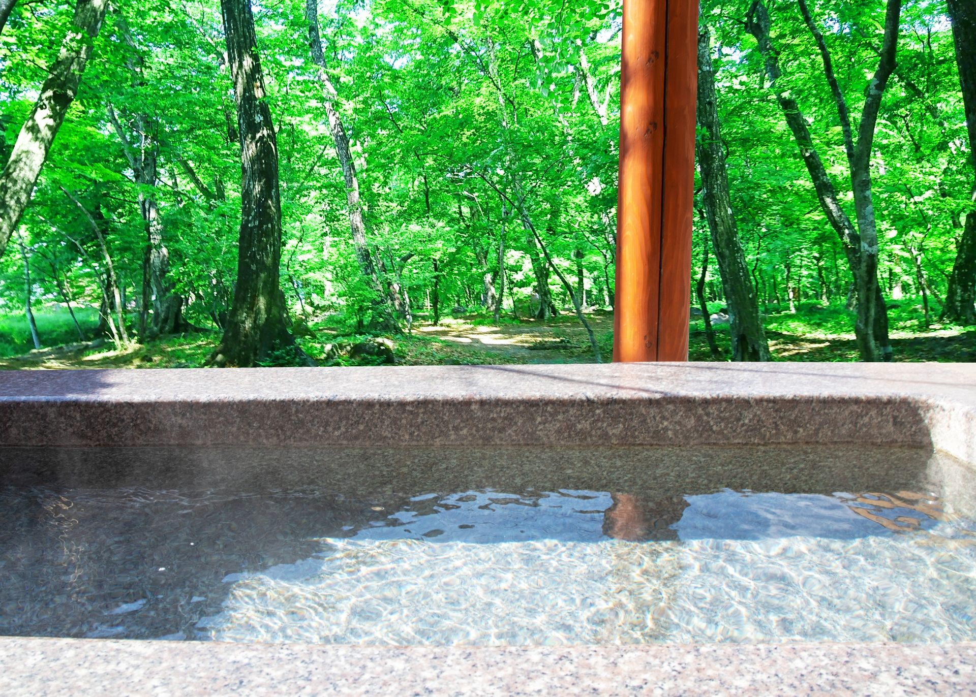 心と体が元気に！日本の名湯「生涯現役」温泉ガイドの画像