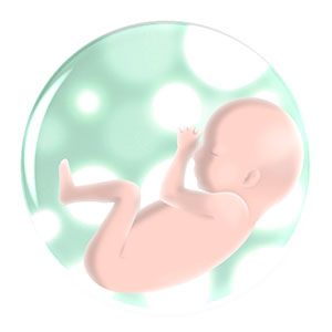 13年前に凍結した卵子から…奇跡の誕生に世界が感動の画像