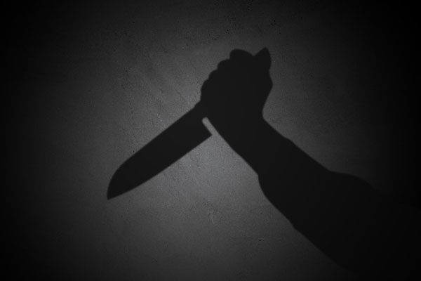 元アイドル本田理沙「ナイフで脅され服を脱がされた」恐怖のストーカー被害を激白の画像