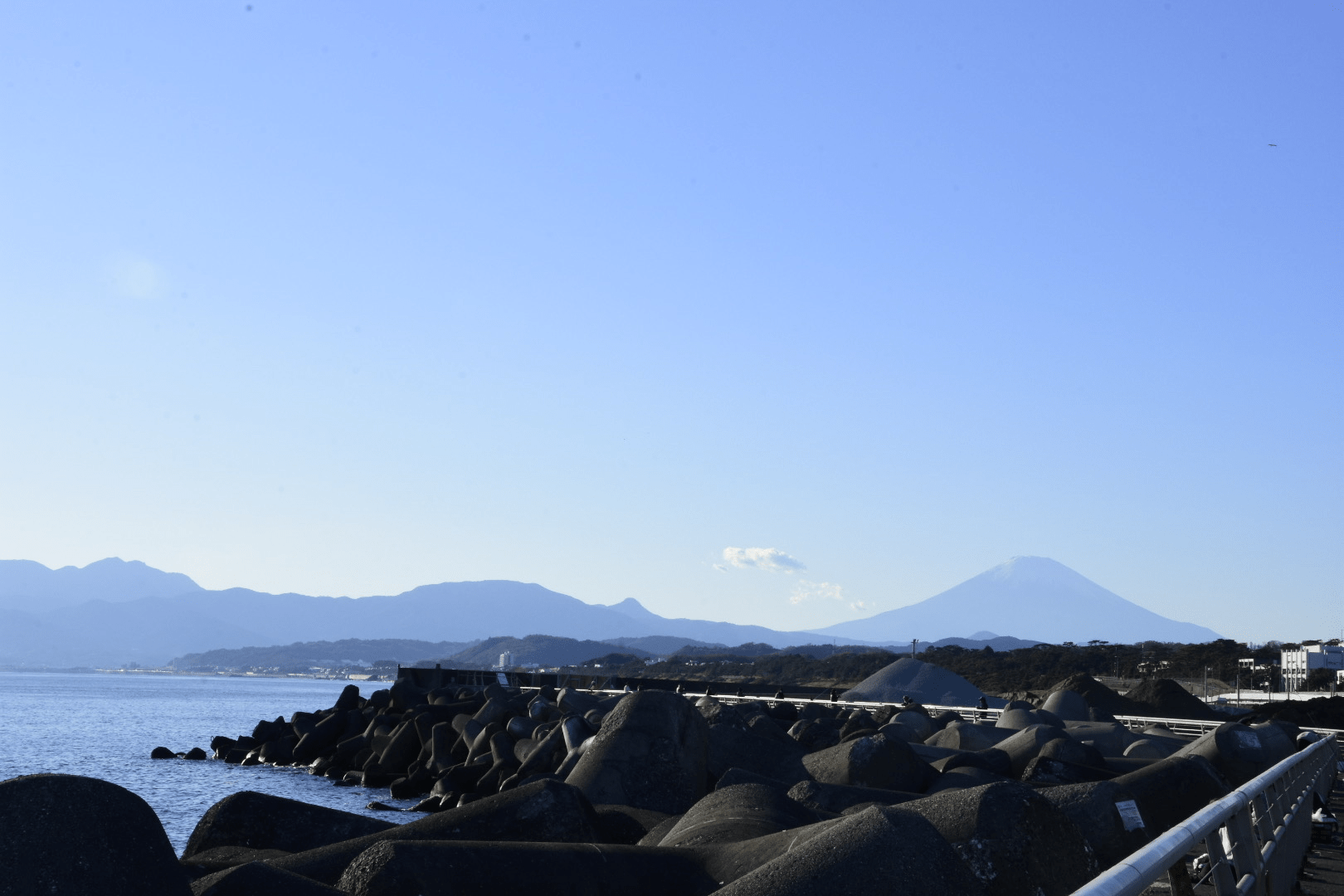 海釣りでの要注意 超危険 毒魚 食べられるけど毒あり 2種と 死亡例あり殺人生物 の危険性とは Br 日刊大衆