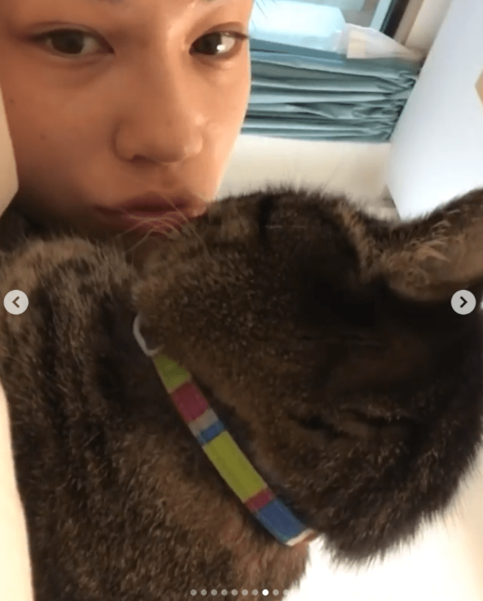 水原希子「ずっと愛してるよ」愛猫の死を報告の画像