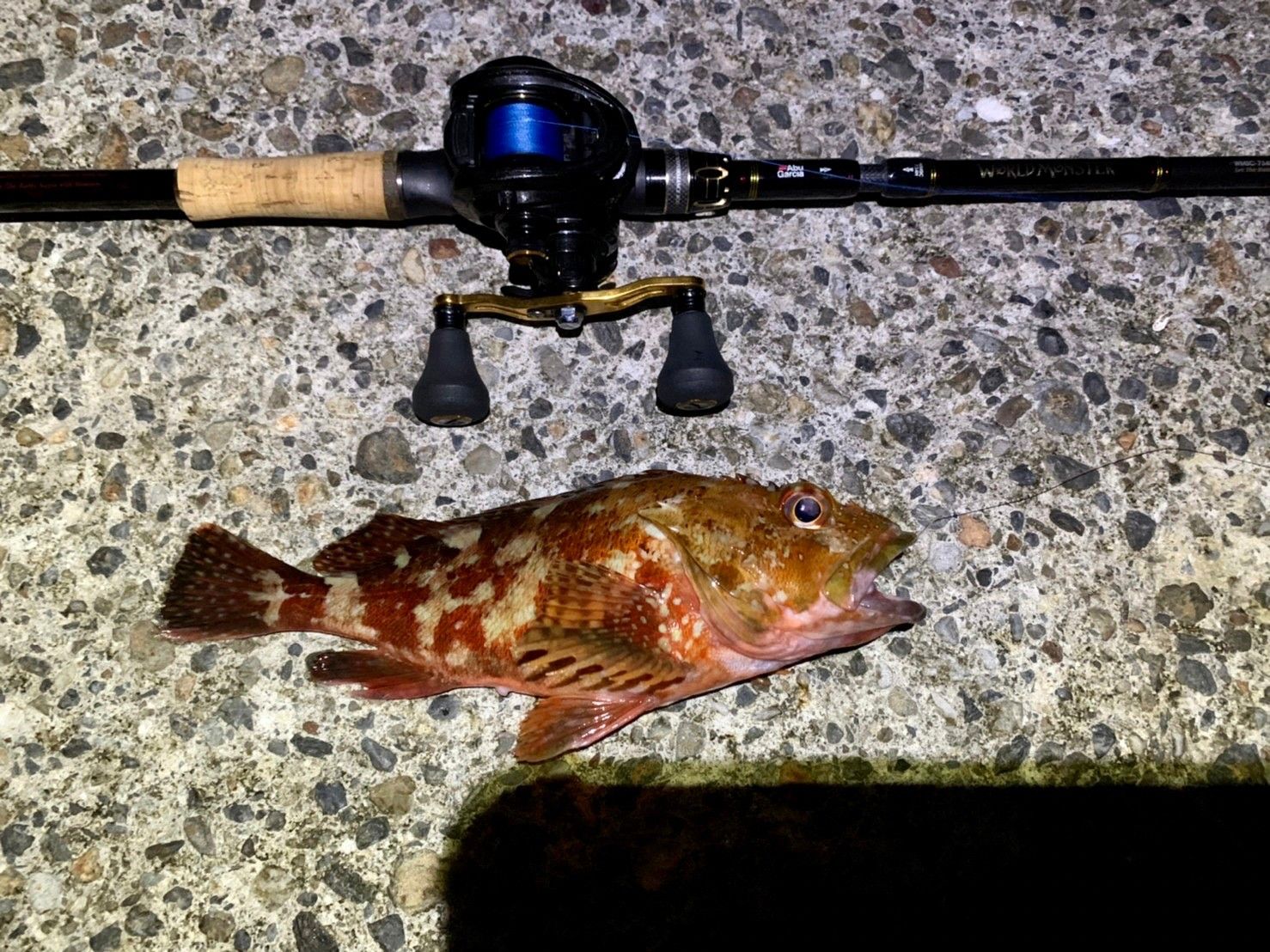 夜通し釣っても大丈夫 釣りアウトドアライターが教える 冬の夜釣り のための 究極の防寒ファッション と 意外な釣果 とは 日刊大衆