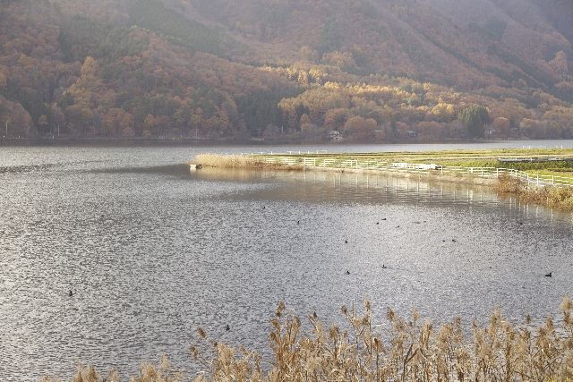 深刻な「水不足」の可能性も？ 日本の水資源の厳しい現実の画像